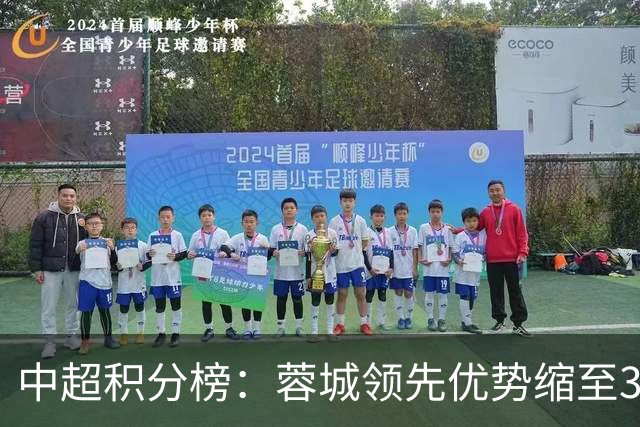 中超积分榜：蓉城领先优势缩至3分 两降级队最终确定