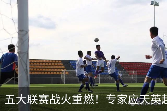 五大联赛战火重燃！专家应天英超10连红领衔红单