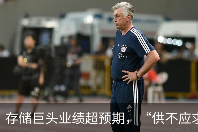 存储巨头业绩超预期，“供不应求持续到2030年”