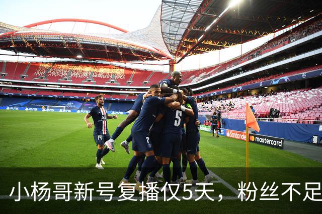 小杨哥新号复播仅5天，粉丝不足10万，直播间观看人数不到2000