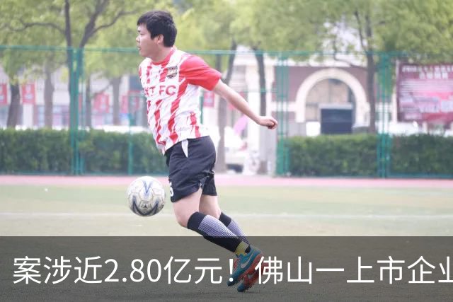 案涉近2.80亿元！佛山一上市企业状告遵义市政府