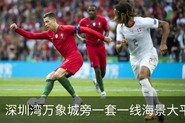 深圳湾万象城旁一套一线海景大平层拍卖，被人5827万竞得
