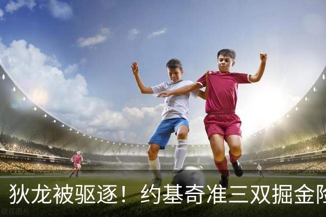 狄龙被驱逐！约基奇准三双掘金险胜太阳 穆雷39+7三分布劳恩31分
