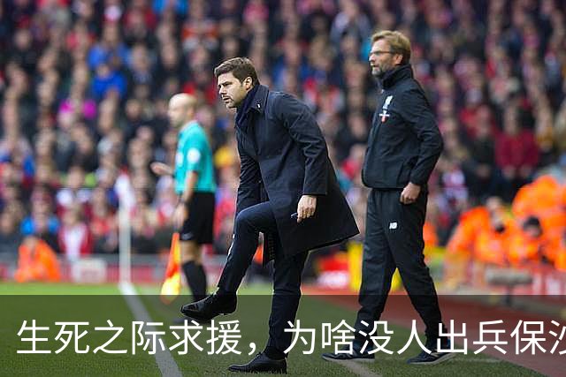 生死之际求援，为啥没人出兵保沙特，中国有实力，但它没少得罪咱