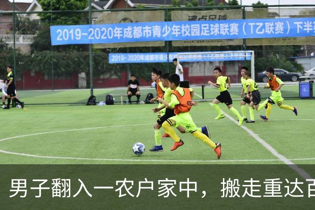 男子翻入一农户家中，搬走重达百斤的保险箱，里面装有57万元现金和300多克黄金，法院：判处有期徒刑10年6个月，并处罚金20万元