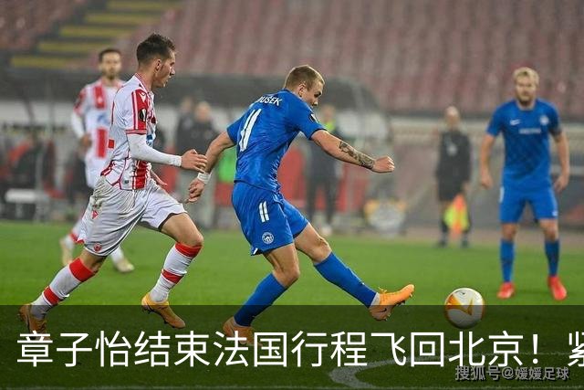 章子怡结束法国行程飞回北京！紧身上衣配阔腿裤纤细腰线十分吸睛
