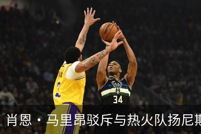 肖恩·马里昂驳斥与热火队扬尼斯·阿德托昆博的比较：不恰当