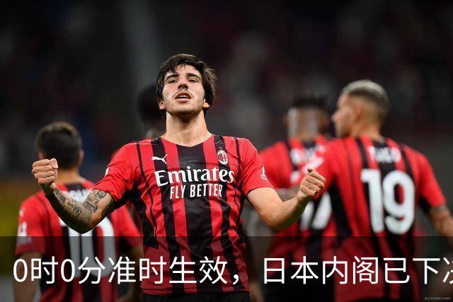 0时0分准时生效，日本内阁已下决心，对中国加税，最高顶格出手